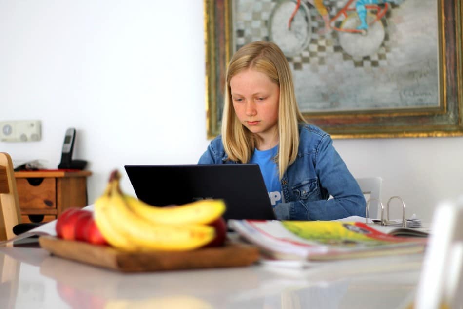 student studying homeschool